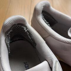 ADIDAS POWERPHASE Ice Purple EF2903 28cmの画像