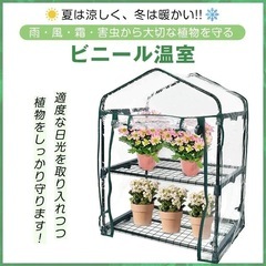 多肉植物　温室　　引き取り者決定
