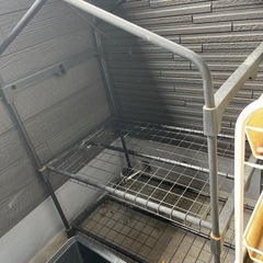 多肉植物　温室　　引き取り者決定
の画像