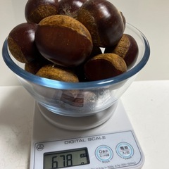 生栗600gの画像
