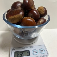 生栗600g