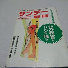 1990年　平成2年　9月23日　サンデー毎日　雑誌　当時物　三谷友里恵　イラク　ソロモン諸島　豊田真奈美　ブル中野　クラッシュギャルズ　の画像
