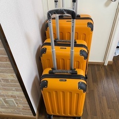 (新品未使用)20+24+28インチスーツケースセット