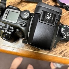 フィルムカメラ　キャノン　イオスセブンの画像