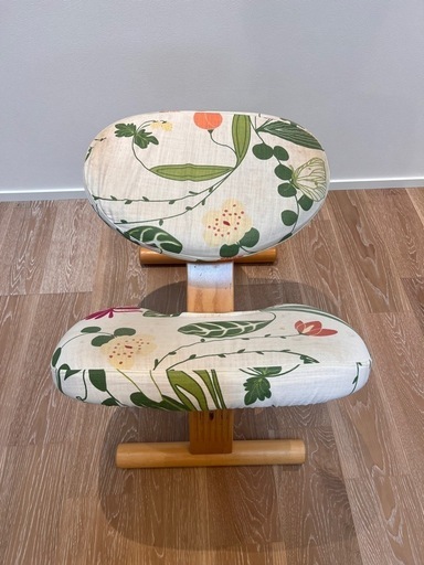 バランスイージー（ご購入者が決まりました）