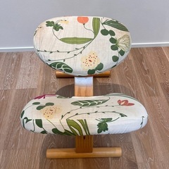 バランスイージー（ご購入者が決まりました）