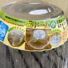 ホットキャップ　家庭菜園　苗　防霜　防鳥　保温　温室　育苗　ドーム　未使用の画像