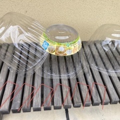 ホットキャップ　家庭菜園　苗　防霜　防鳥　保温　温室　育苗　ドーム　未使用の画像