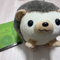決まりました