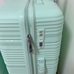新品未使用 PPトラベルケース4点セットの画像
