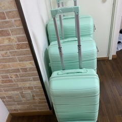 新品未使用 PPトラベルケース4点セットの画像