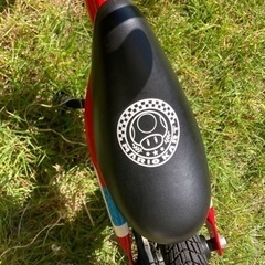 【受け渡し者確定】マリオ　キッカーアバンス１２インチの画像