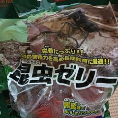 昆虫ゼリー　の画像