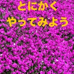 主婦のためのメルカリ教室の画像
