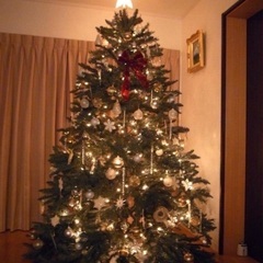 クリスマスツリーの画像