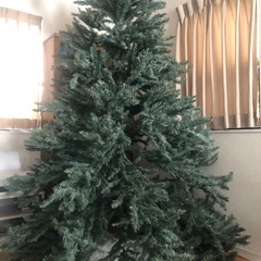 クリスマスツリー