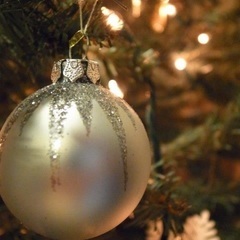 クリスマスツリーの画像