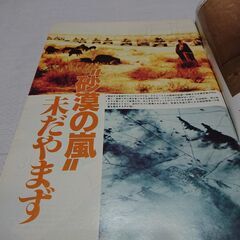 1991年　平成3年　2月10日　週刊読売　雑誌　当時物　湾岸戦争　イスラエル反撃　フセイン暗殺　野茂英雄　杉良太郎　　　　の画像