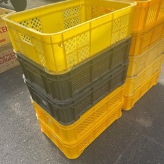 5個セット3,000円　収穫コンテナ　浅めのコンテナの画像