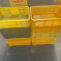 5個セット3,000円　収穫コンテナ　浅めのコンテナ