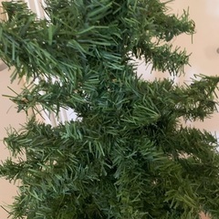 クリスマスツリーの画像