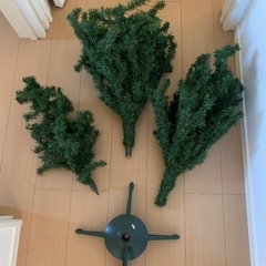 クリスマスツリーの画像