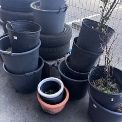 鉢・タイヤetcの画像