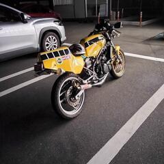 RZ250r  