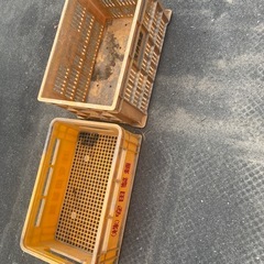 カゴ　収穫カゴの画像