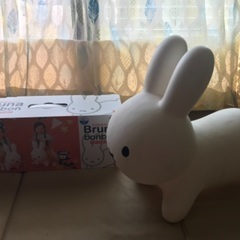 ブルーナボンボンの画像