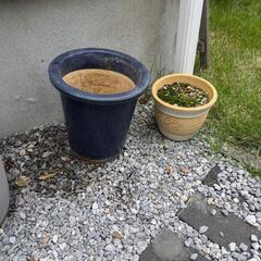 【取引中】植木鉢　まとめての画像