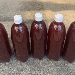 光合成細菌 ＰＳＢ （1000ml×5）