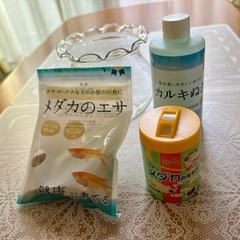 メダカのエサ