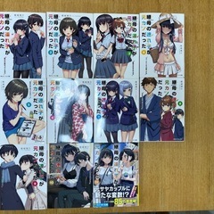 ラノベ、継母の連れ子が元カノだった1〜11の画像