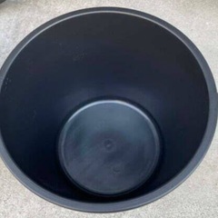 ✨第4段！人気品種メダカ✨🪷小町ヒレ長  稚魚〜幼魚約40匹＆オ...