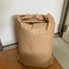 古米　お米　恋の予感　20kg