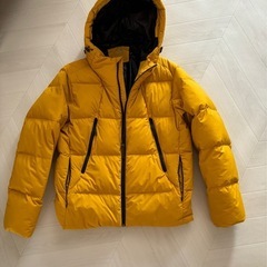 フュージョンダウンの中古が安い！激安で譲ります・無料で