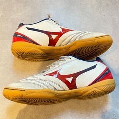 フットサルシューズMIZUNO モナルシーダネオの画像