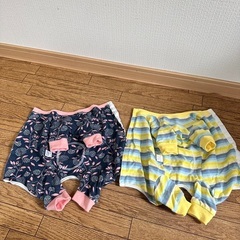 犬手術着