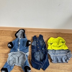犬洋服