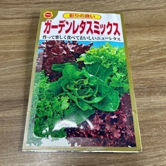 ミックスレタス　種