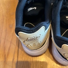 ナイキ　25.0の画像