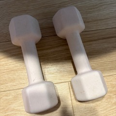 ダンベル3キロ 2個の画像
