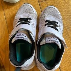 瞬足　21.0