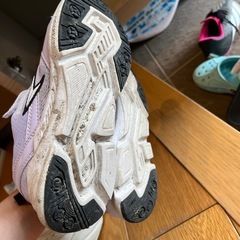 瞬足　21.0の画像