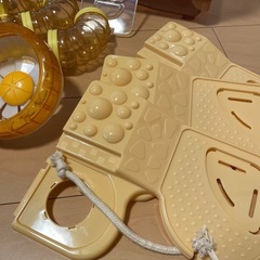 ハムスターケージ　アドベンチャーランドの画像