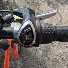 定型文ブロック  スイング機能付き可愛い大人用三輪車(*´꒳`*)の画像