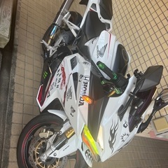 CBR250RR  ABS  個人出品      の画像