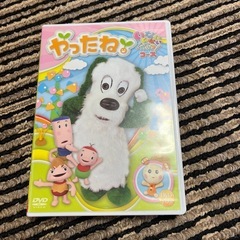 やったね。いないいないばぁコース