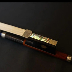 バイオリン 弓 4/4 フェルナンブーコ シルバー